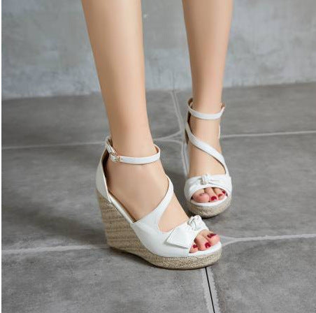 Thick Heel Pointed Toe Wedges