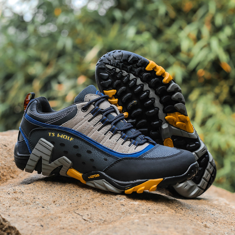 Hiking Lieghtweight Shoes